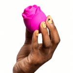 ROMP Rose ピンクのバラ型本体