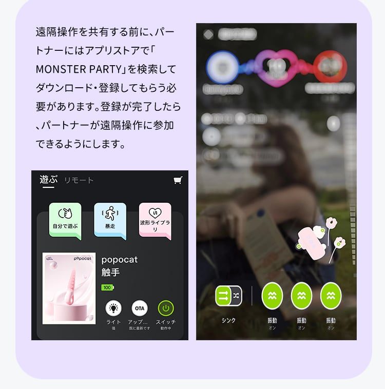 リモート共有接続画面：パートナーと遠隔操作を共有するためのアプリ登録と機能選択インターフェース