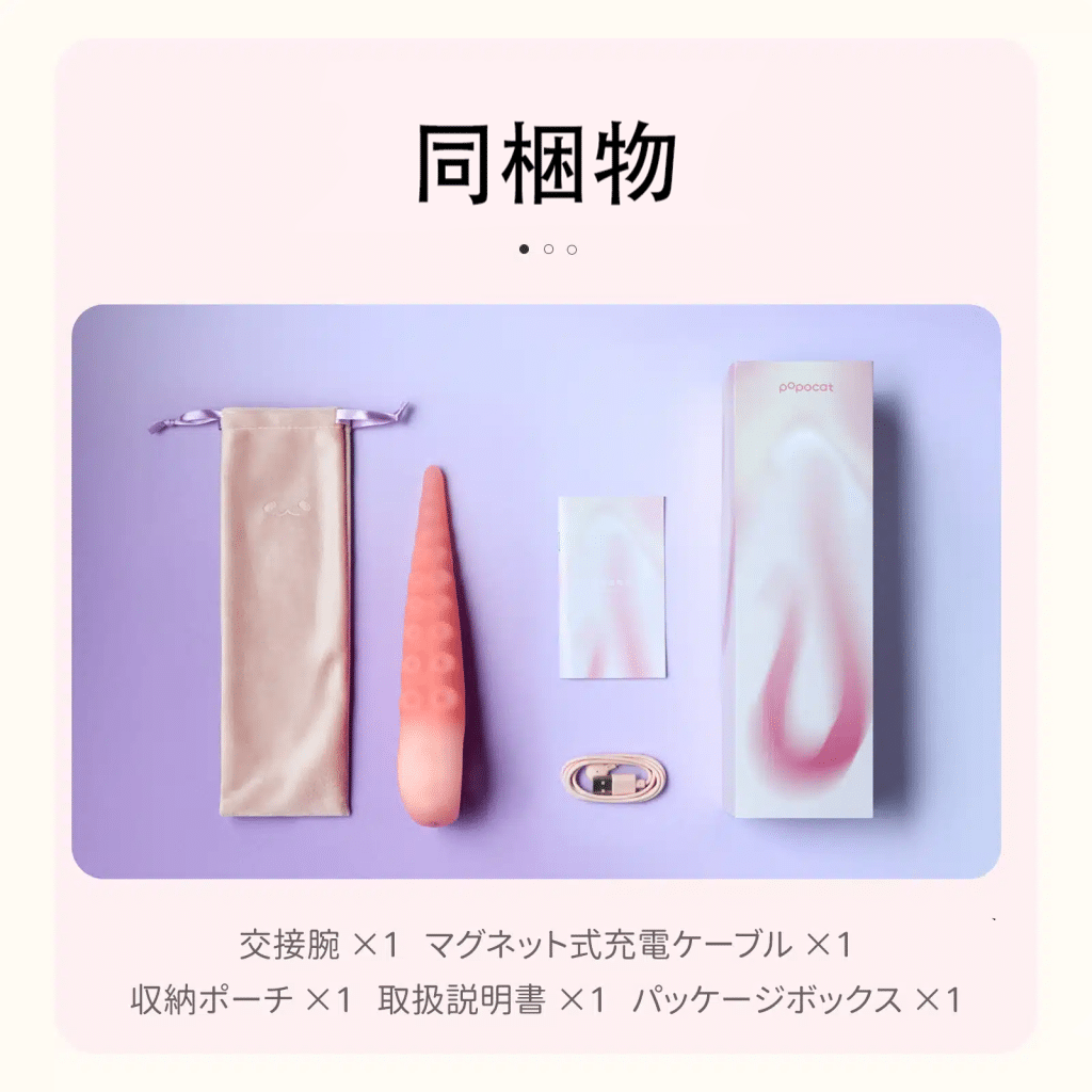 交接腕、マグネット式充電ケーブル、収納ポーチ、取扱説明書、パッケージボックスが含まれる同梱物